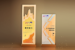 凯发k8国际一举斩获“2024年度中国区最佳雇主”等多项大奖